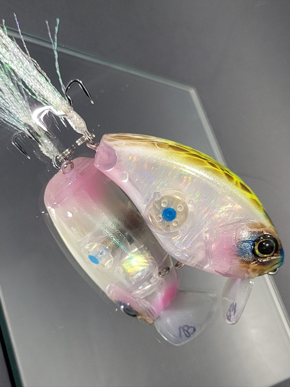 "Houdini" Holographic Flatsided Combat Wakes