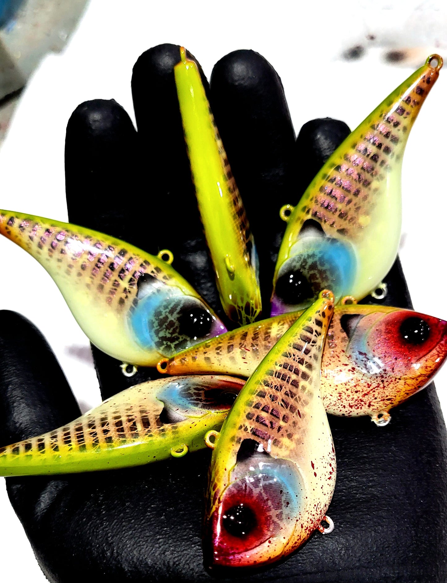 "True Gill" Big Belly Liplesses