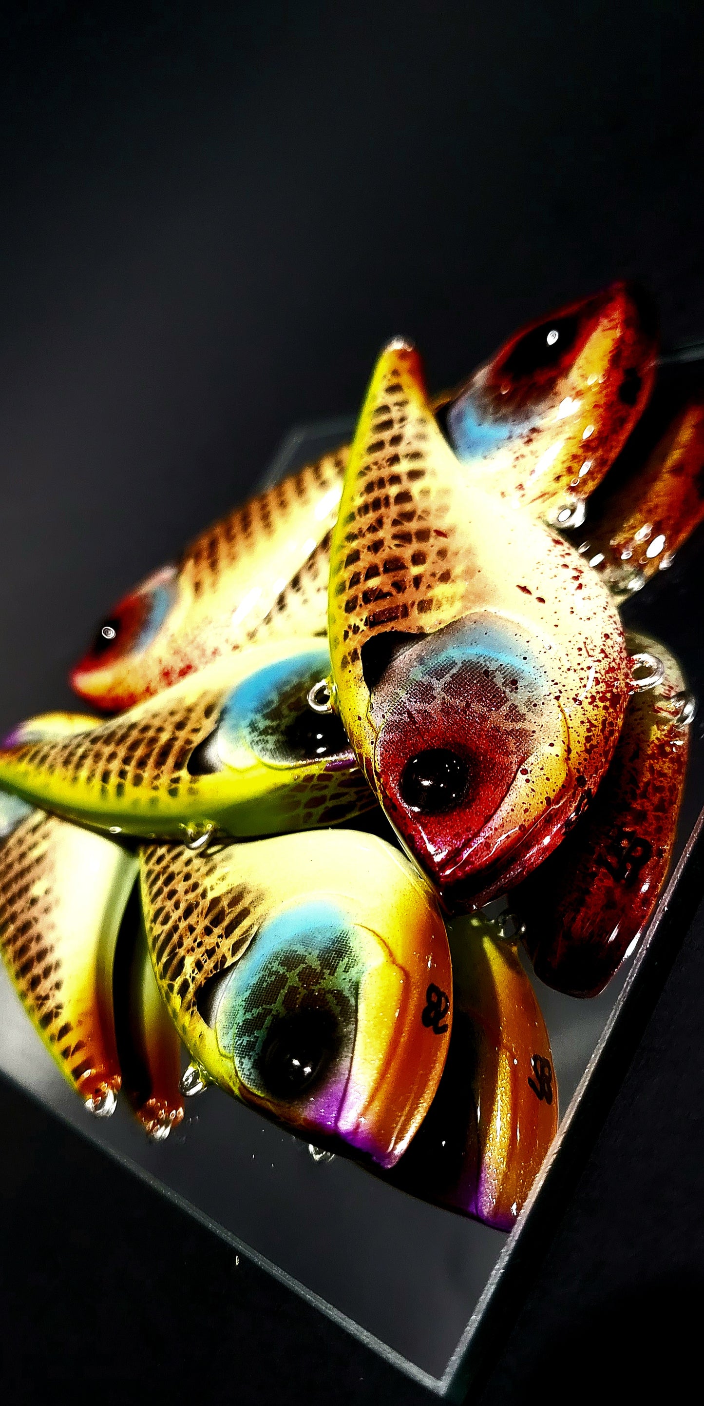 "True Gill" Big Belly Liplesses