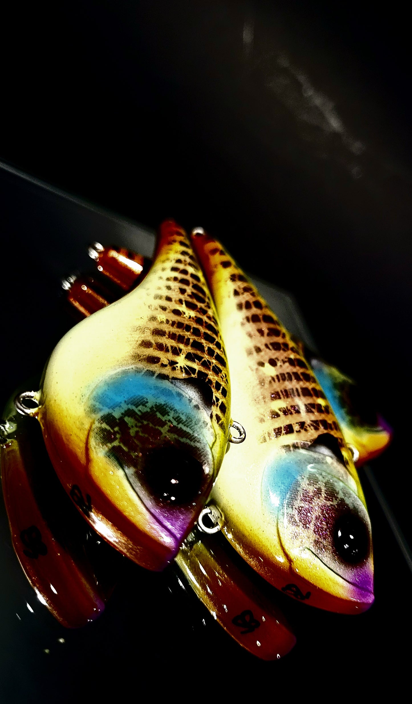 "True Gill" Big Belly Liplesses