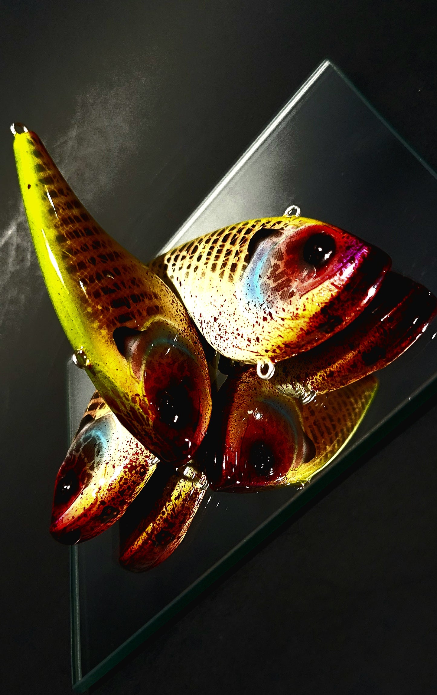 "True Gill" Big Belly Liplesses