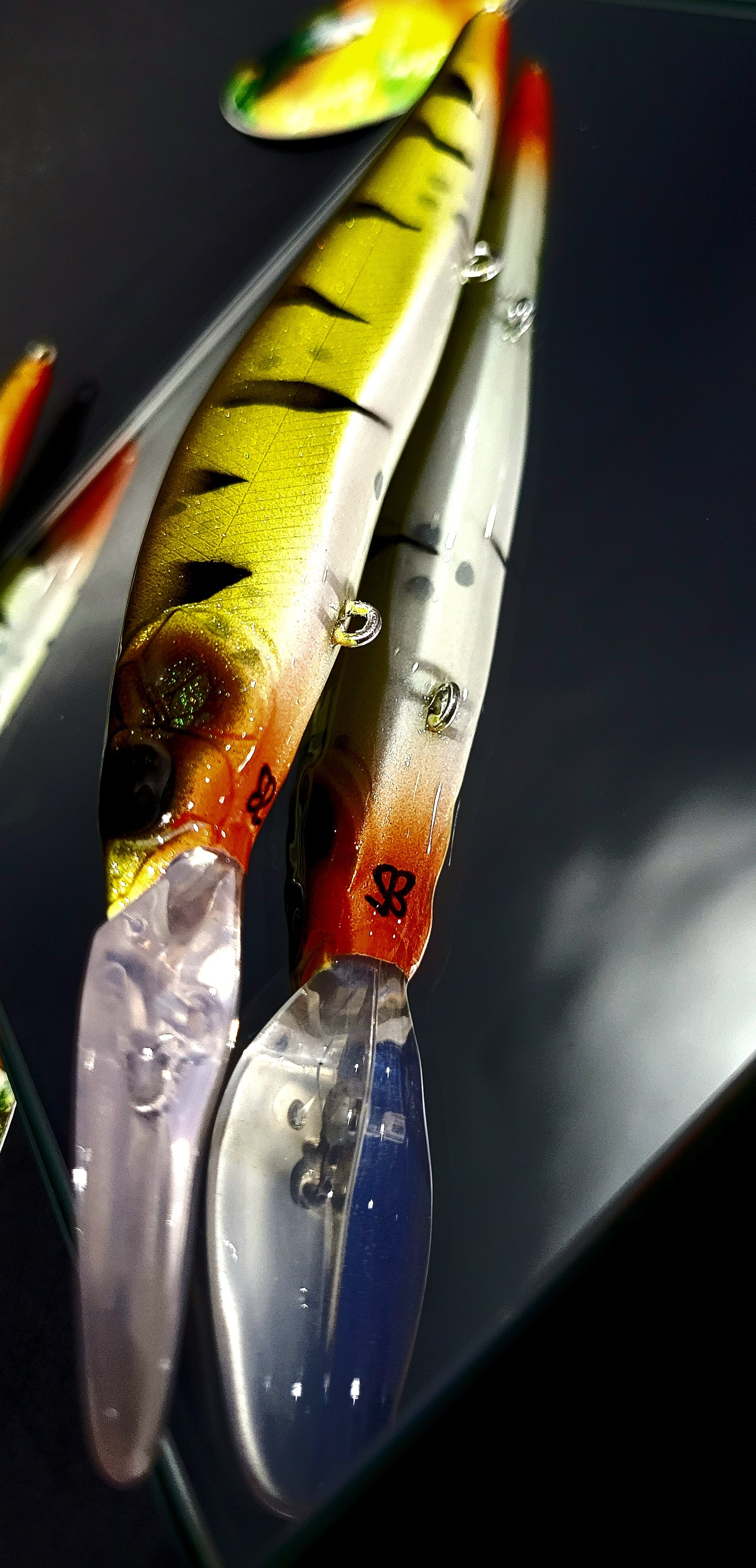"Yellow Perch" M.B. Vision 110+2 k.o's (suspending)