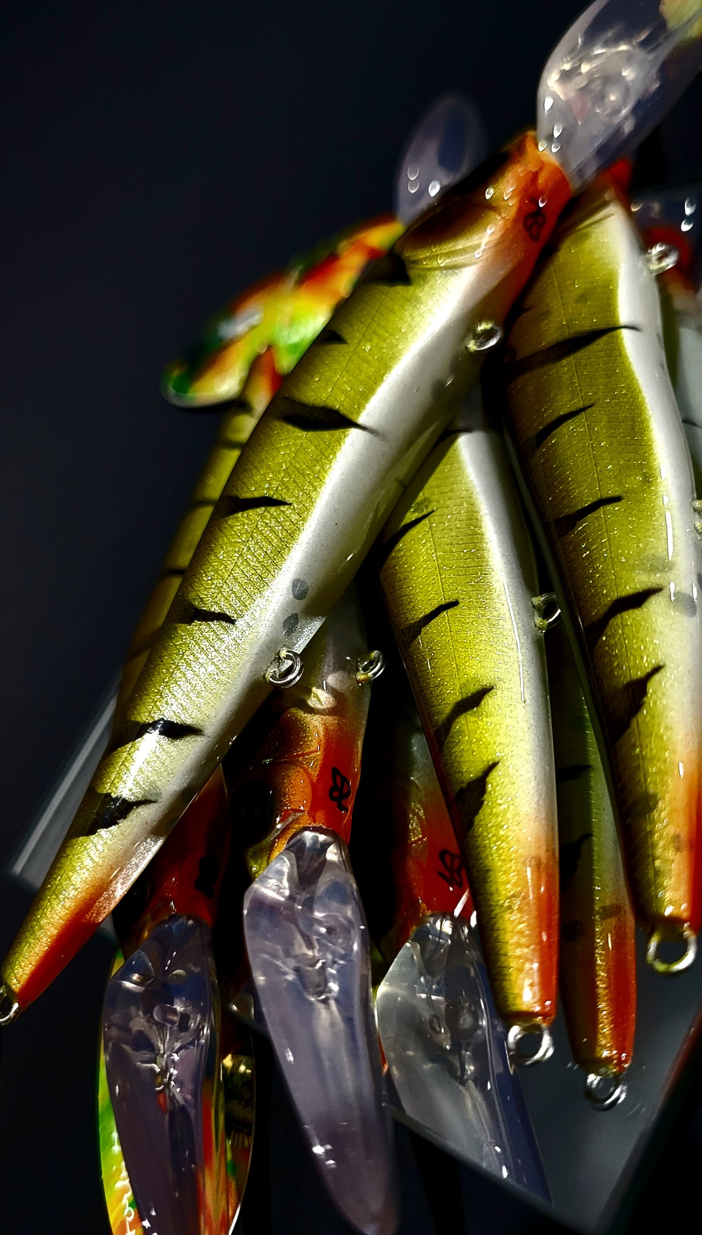 "Yellow Perch" M.B. Vision 110+2 k.o's (suspending)