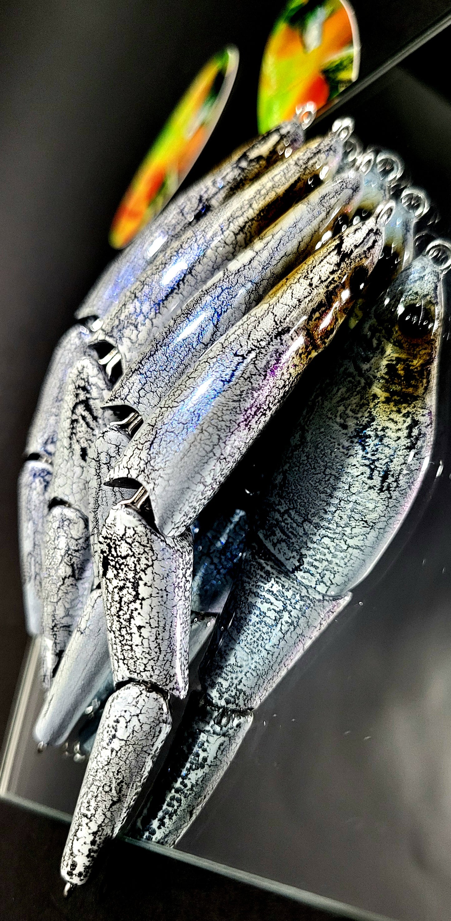 "Ice Python" Magic Swimmer 95 k.o.'s