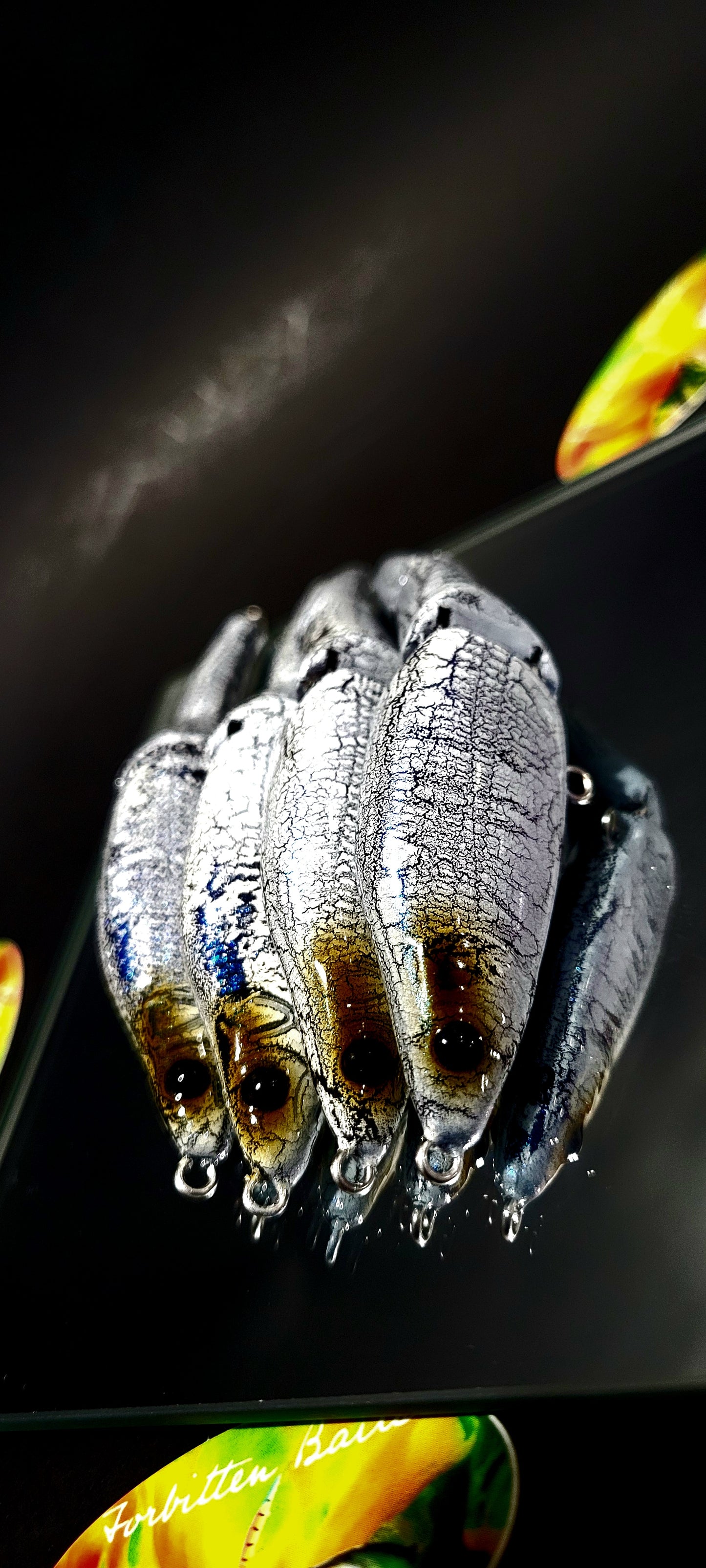 "Ice Python" Magic Swimmer 95 k.o.'s