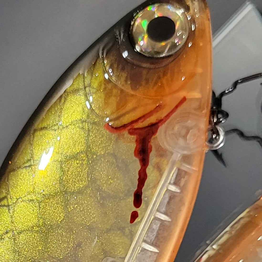 "Wounded Throwback Shiner" Bushido Glide