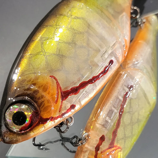"Wounded Throwback Shiner" Bushido Glide
